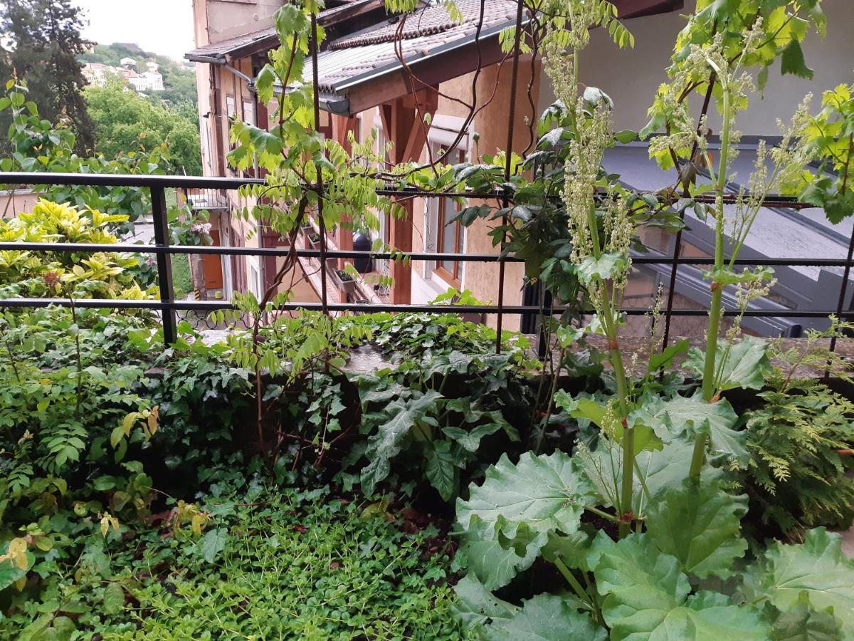 B&B J'Irais Dormir A Lyon Exteriér fotografie